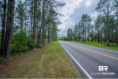 0 Phillipsville Road, Bay Minette, AL 36507 - Photo 17