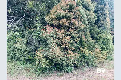 1510 Northview Drive, Mobile, AL 36618 - Photo 7