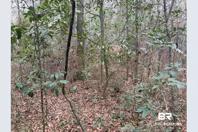 0 Carol Street, Mobile, AL 36608 - Photo 3