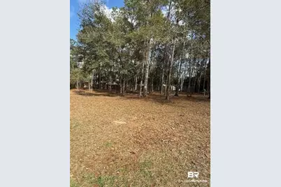 Lot 302 Bunker Loop, Fairhope, AL 36532 - Photo 1