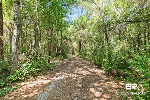 20219 Greek Cemetery Rd, Robertsdale, AL 36567 - Photo 37