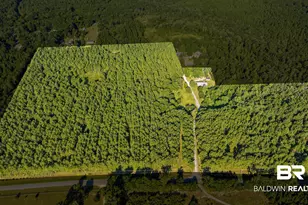 9350 Tompkins Rd, Stockton, AL 36579 - Photo 3