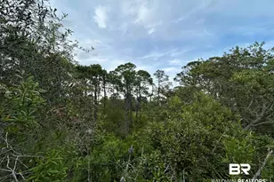 8941 Bonita Ln, Gulf Shores, AL 36542 - Photo 25