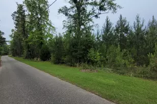 0 Peterson Ln, Bay Minette, AL 36507 - Photo 1