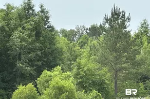 0 E County Road 54, Daphne, AL 36526 - Photo 1