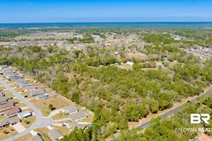 00 County Road 99, Lillian, AL 36549 - Photo 7