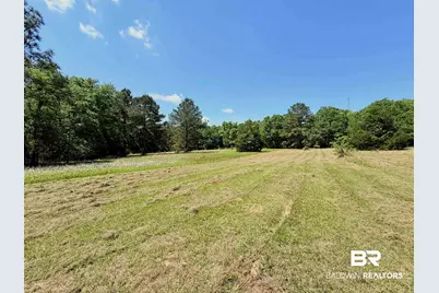 0 Pearson Lane, Robertsdale, AL 36567 - Photo 3
