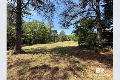0 Pearson Lane, Robertsdale, AL 36567 - Photo 11