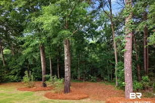8248 Pine Run, Daphne, AL 36527 - Photo 57