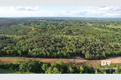 0 Pleasant Hill Road, Century, FL 32535 - Photo 9