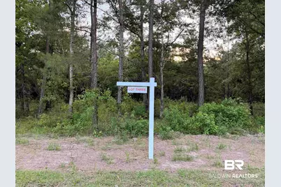 0 Pine Grove Rd Pine Grove Road, Bay Minette, AL 36507 - Photo 5