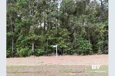 0 Pine Grove Rd Pine Grove Road, Bay Minette, AL 36507 - Photo 7