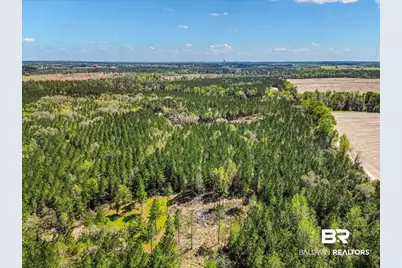 22544 Lechner Road, Robertsdale, AL 36567 - Photo 7