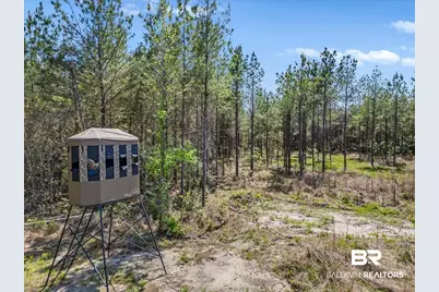 22544 Lechner Road, Robertsdale, AL 36567 - Photo 9