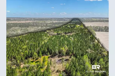 22544 Lechner Road, Robertsdale, AL 36567 - Photo 15