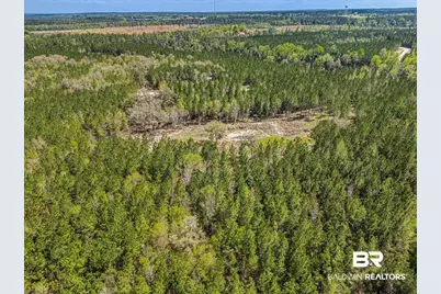 22544 Lechner Road, Robertsdale, AL 36567 - Photo 5