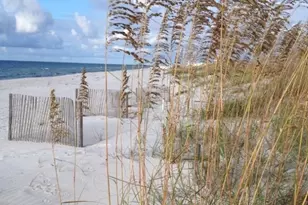 28760 Perdido Beach Blvd, Orange Beach, AL 36561 - Photo 31