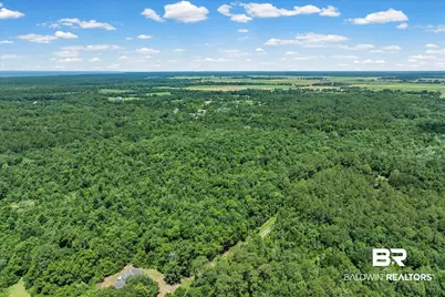 0 Newberry Lane, Foley, AL 36535 - Photo 11