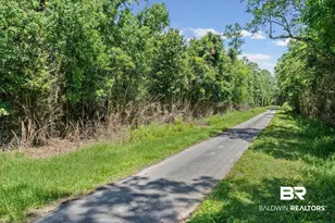 0 Newberry Ln, Foley, AL 36535 - Photo 1