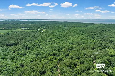 0 Newberry Lane, Foley, AL 36535 - Photo 5