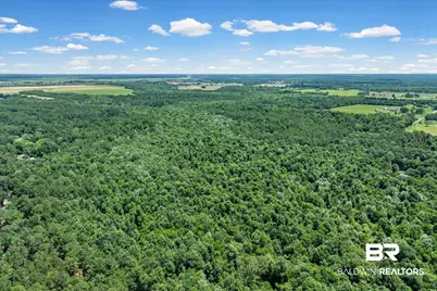 0 Newberry Lane, Foley, AL 36535 - Photo 9
