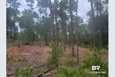 0 Primrose Lane, Gulf Shores, AL 36542 - Photo 3
