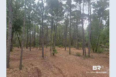 0 Primrose Lane, Gulf Shores, AL 36542 - Photo 1