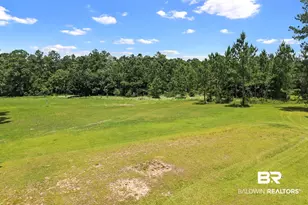 17501 -A Francis Harrell Rd, Elberta, AL 36530 - Photo 79