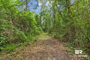 24928 Co Rd 71, Robertsdale, AL 36567 - Photo 43