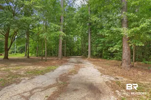 24928 Co Rd 71, Robertsdale, AL 36567 - Photo 35