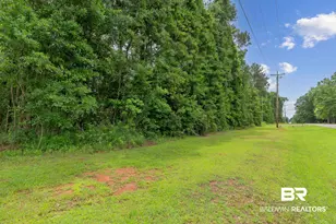 24928 Co Rd 71, Robertsdale, AL 36567 - Photo 51
