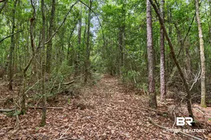 24928 Co Rd 71, Robertsdale, AL 36567 - Photo 49