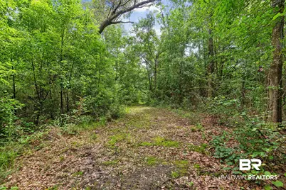 24928 County Road 71, Robertsdale, AL 36567 - Photo 45