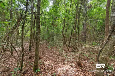 24928 County Road 71, Robertsdale, AL 36567 - Photo 47