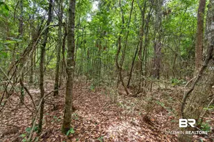 24928 Co Rd 71, Robertsdale, AL 36567 - Photo 47