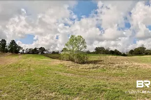 12574 Co Rd 87, Elberta, AL 36530 - Photo 1
