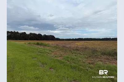 7600 Block Bratt Road, Century, FL 32535 - Photo 7