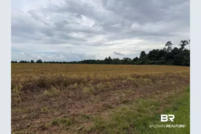 7600 Block Bratt Road, Century, FL 32535 - Photo 5