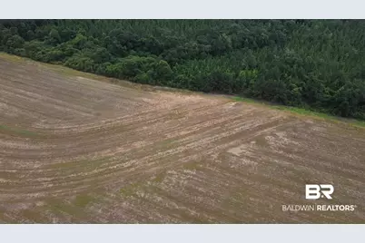 7600 Block Bratt Road, Century, FL 32535 - Photo 17