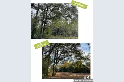 12541 Frondfield Lane, Elberta, AL 36530 - Photo 3
