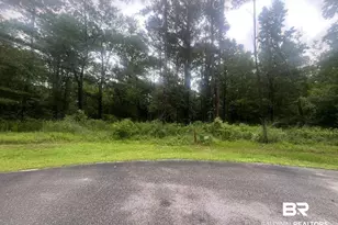 12870 Fish River Rd, Foley, AL 36535 - Photo 1
