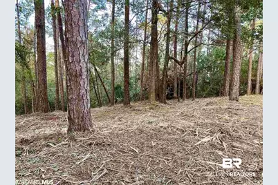 0 Blakeley Oaks Drive, Spanish Fort, AL 36527 - Photo 5