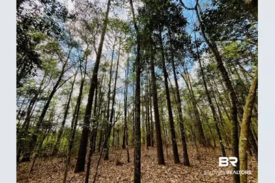 002 Phillipsville Road, Bay Minette, AL 36507 - Photo 3