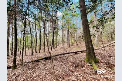 002 Phillipsville Road, Bay Minette, AL 36507 - Photo 1