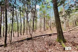 002 Phillipsville Rd, Bay Minette, AL 36507 - Photo 1
