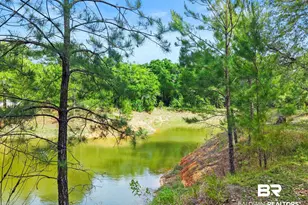 11861 W Bay Rd, Foley, AL 36535 - Photo 65