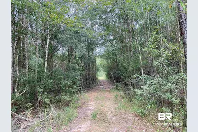 21305 River Road, Robertsdale, AL 36567 - Photo 15