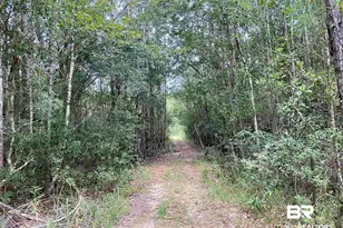 21305 River Rd, Robertsdale, AL 36567 - Photo 15