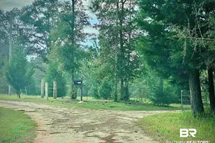 21305 River Rd, Robertsdale, AL 36567 - Photo 39