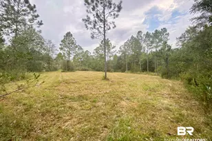 21305 River Rd, Robertsdale, AL 36567 - Photo 19